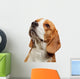 Portrait Young Beagle Dog Wall Decal