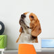 Portrait Young Beagle Dog Wall Decal