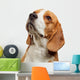 Portrait Young Beagle Dog Wall Decal