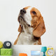 Portrait Young Beagle Dog Wall Decal