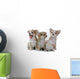 Chihuahua Puppies Wall Decal