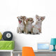 Chihuahua Puppies Wall Decal