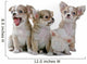 Chihuahua Puppies Wall Decal