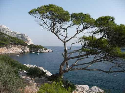 Calanque Sormiou Wall Decal