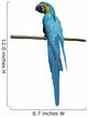 Macaw Parrot over White Wall Decal Design 1