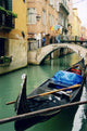 Venetian Rain Wall Decal