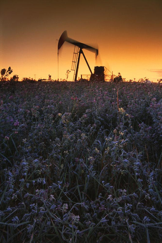 Pumpjack In A Field, Alberta, Canada Wall Mural