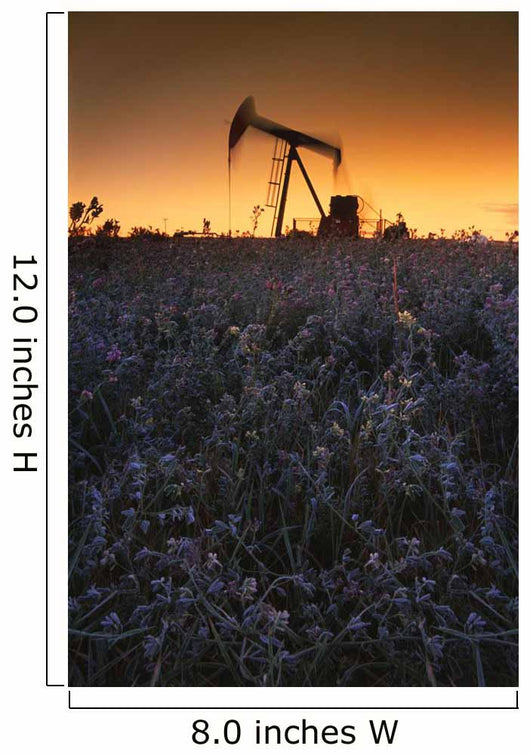 Pumpjack In A Field, Alberta, Canada Wall Mural