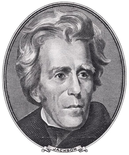 President Andrew Jackson Face Wall Decal