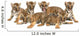 Six Bengal Tigers Wall Decal