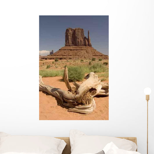 Monment Valley - Arizona - South West Usa Wall Mural