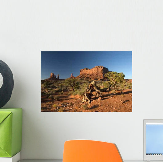 Monment Valley - Arizona - South West Usa Wall Mural