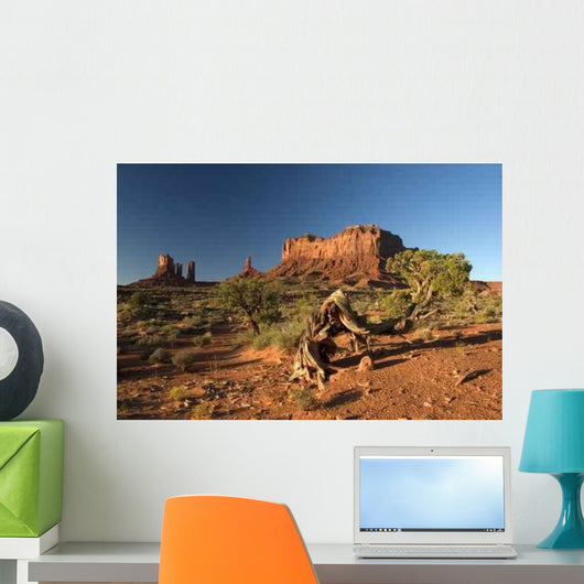Monment Valley - Arizona - South West Usa Wall Mural