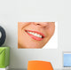 Female Lips with Cosmetics Wall Decal