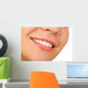 Female Lips with Cosmetics Wall Decal