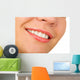 Female Lips with Cosmetics Wall Decal
