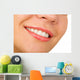 Female Lips with Cosmetics Wall Decal
