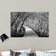 Wooden Path Jiuzhaigou China Wall Decal
