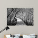 Wooden Path Jiuzhaigou China Wall Decal
