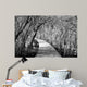 Wooden Path Jiuzhaigou China Wall Decal