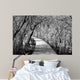 Wooden Path Jiuzhaigou China Wall Decal
