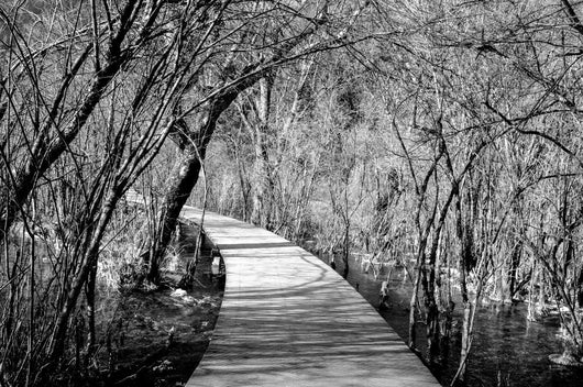 Wooden Path Jiuzhaigou China Wall Decal