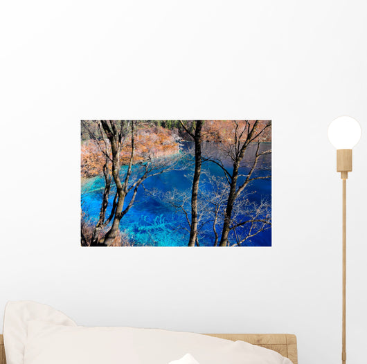 Colorful lake in Jiuzhaigou, China Wall Mural