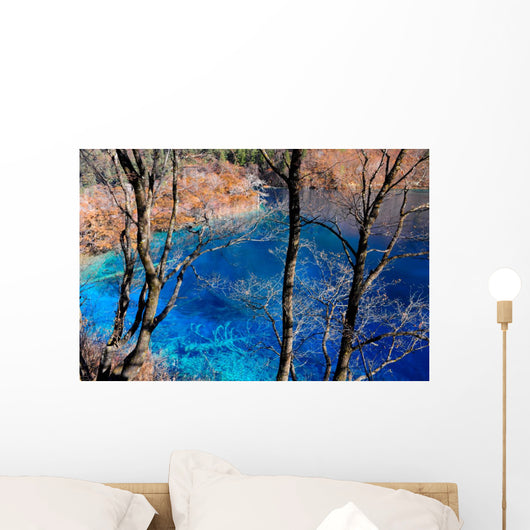 Colorful lake in Jiuzhaigou, China Wall Mural
