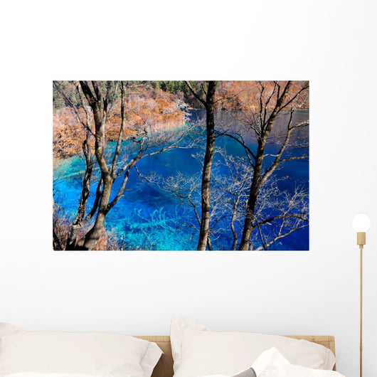 Colorful lake in Jiuzhaigou, China Wall Mural