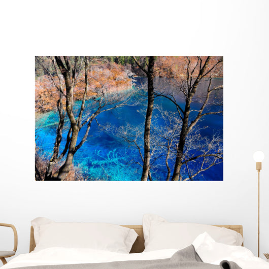 Colorful lake in Jiuzhaigou, China Wall Mural