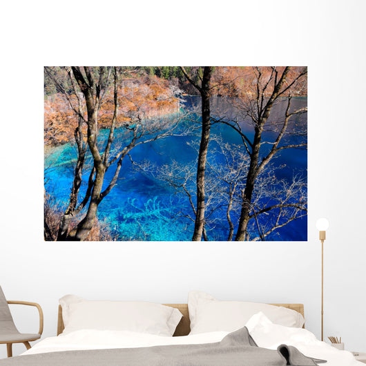 Colorful lake in Jiuzhaigou, China Wall Mural