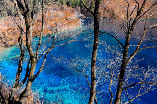 Colorful lake in Jiuzhaigou, China Wall Mural