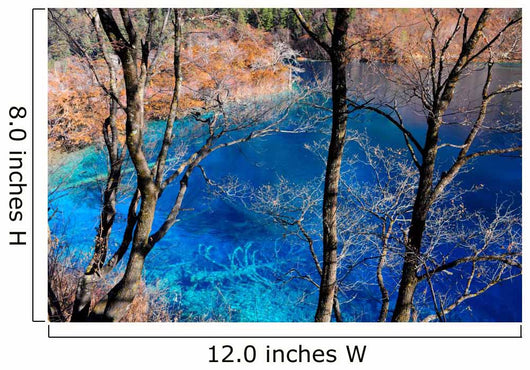 Colorful lake in Jiuzhaigou, China Wall Mural