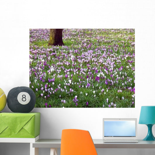 Spring Comes Wall Decal