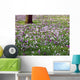 Spring Comes Wall Decal