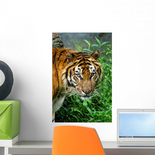 Wild Animal Wall Decal