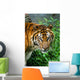 Wild Animal Wall Decal
