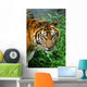 Wild Animal Wall Decal