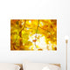 Autumn Tree and Forest Wall Decal