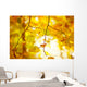 Autumn Tree and Forest Wall Decal