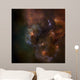 Distant Galaxies And Formations Wall Mural