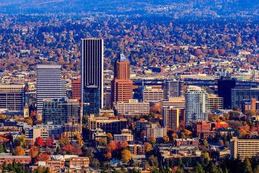 Portland Downtown Cityscape Wall Decal