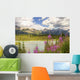 Bow River Wall Decal