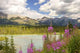 Bow River Wall Decal