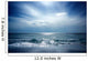 Beautiful Beach Sea Lion Wall Decal