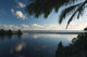 Tropical Sunset with Palm Wall Decal