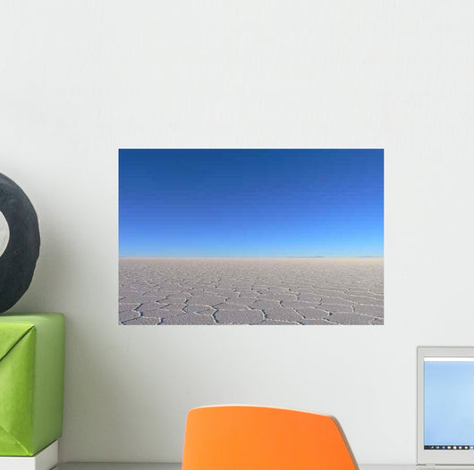 Horizon Salt Desert Taked Wall Decal