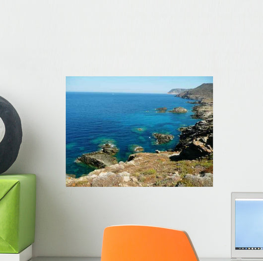 Asinara Wall Decal