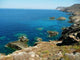 Asinara Wall Decal