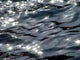 Sea Sun Wall Decal